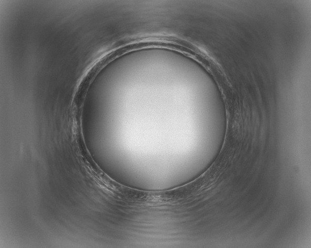 X0000054391360200508270023