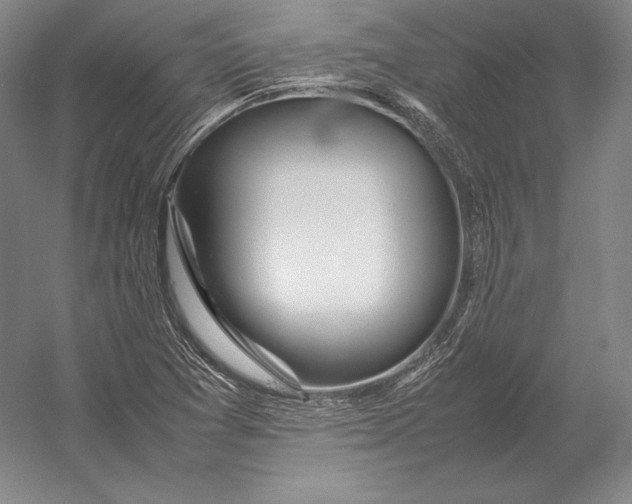 X0000054391361200508270023