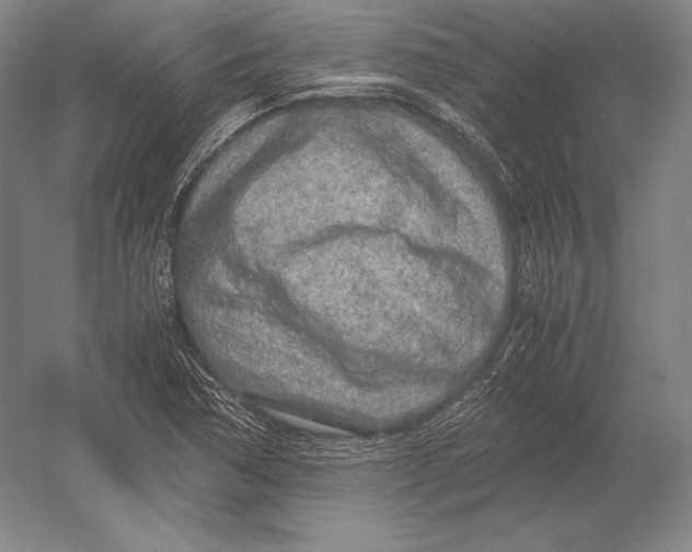 X0000054391362200508270023