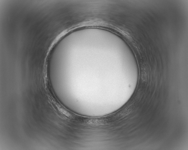 X0000054391366200508270023