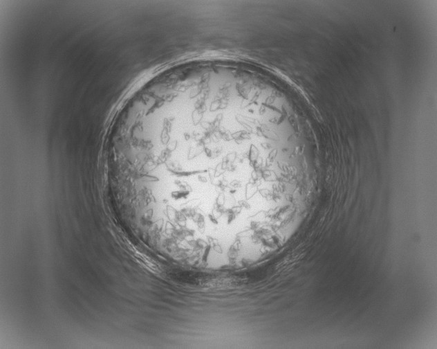 X0000054391367200508270023