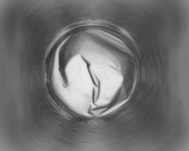 X0000054391368200508270023