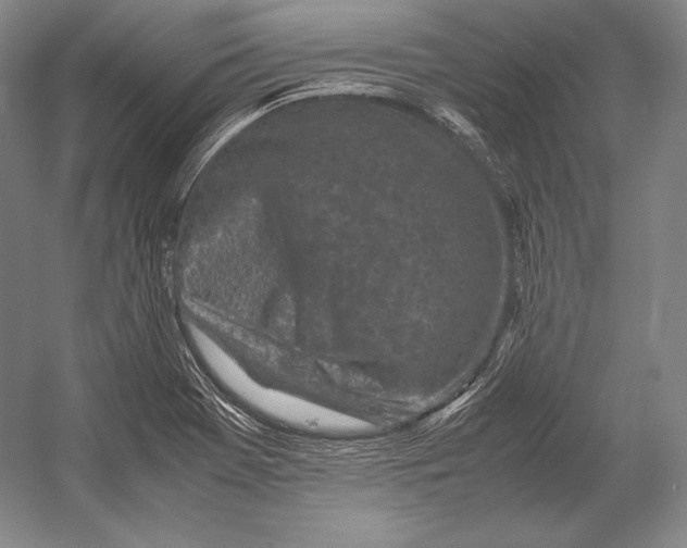 X0000054391369200508270023