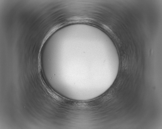 X0000054391370200508270023