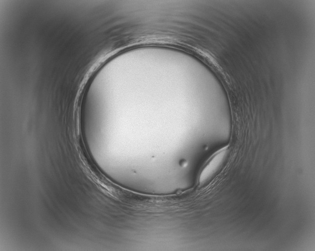 X0000054391371200508270023