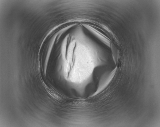 X0000054391372200508270022