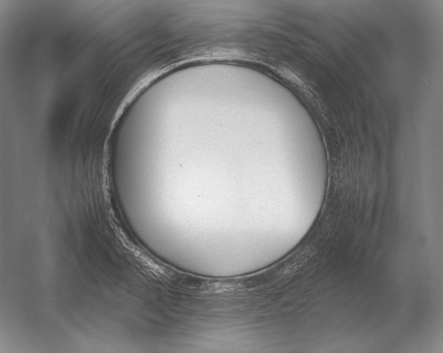 X0000054391374200508270022
