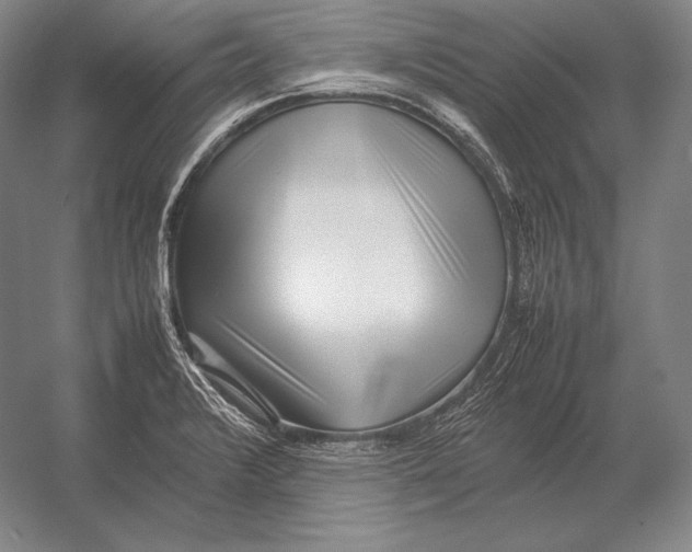 X0000054391376200508270022