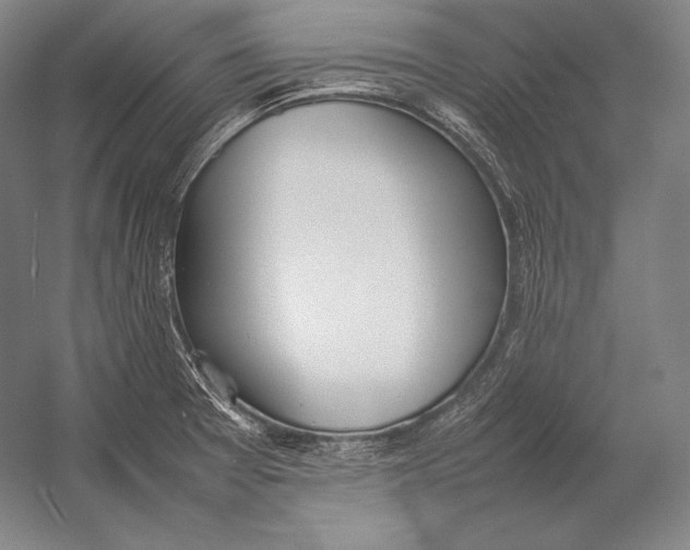 X0000054391377200508270022