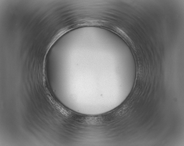 X0000054391378200508270022