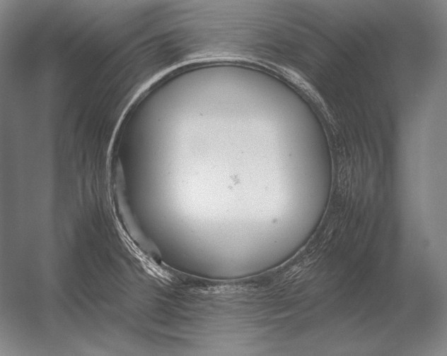 X0000054391380200508270022