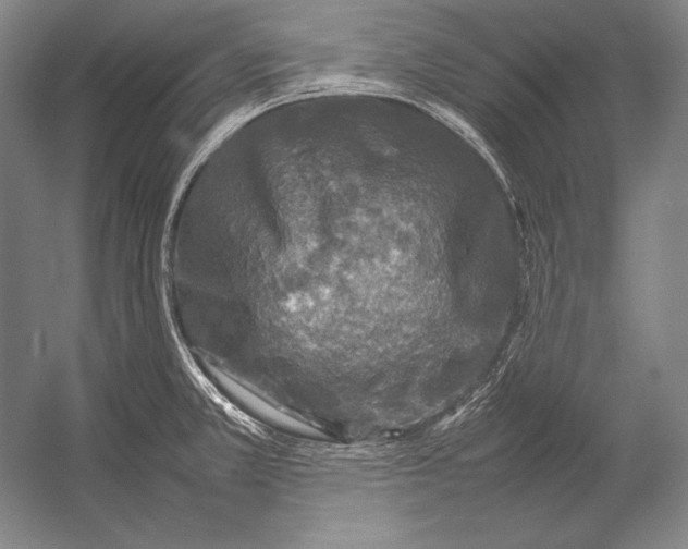 X0000054391381200508270022