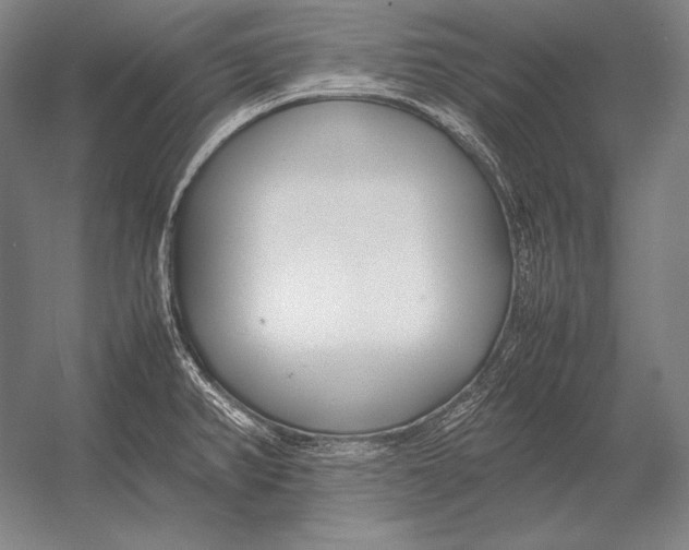 X0000054391382200508270022