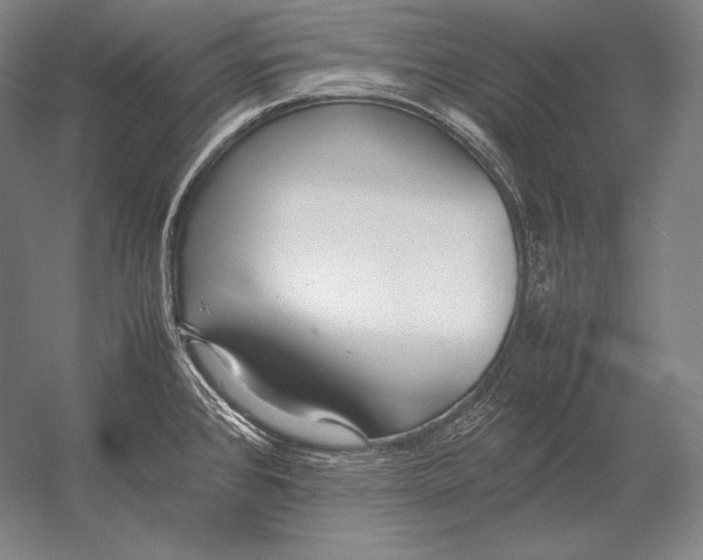 X0000054391384200508270022