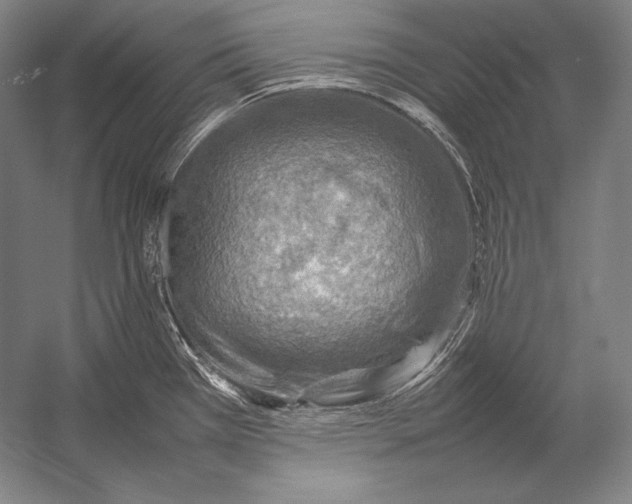 X0000054391385200508270022