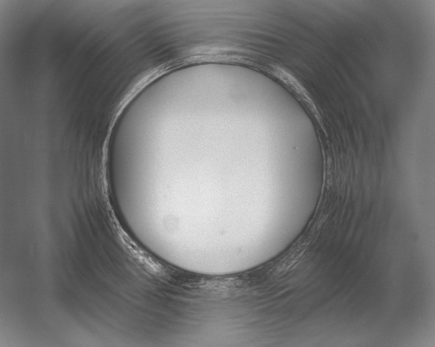 X0000054391386200508270022
