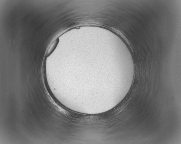 X0000054391387200508270022