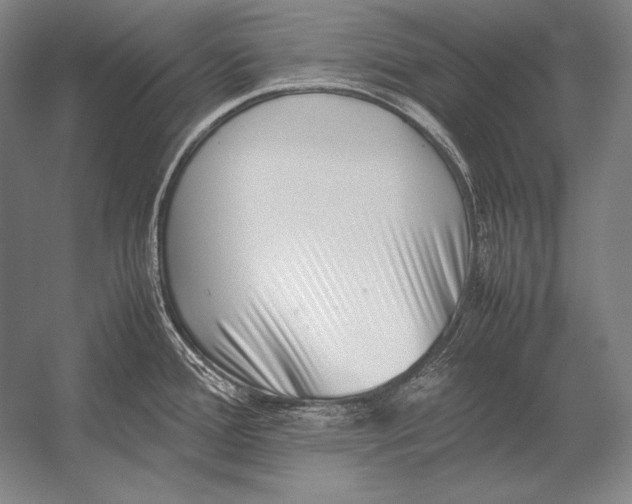 X0000054391388200508270022