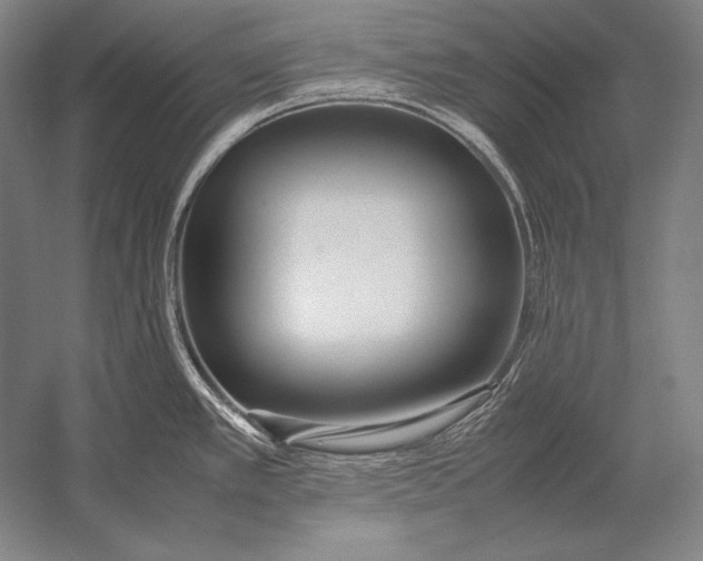 X0000054391389200508270022