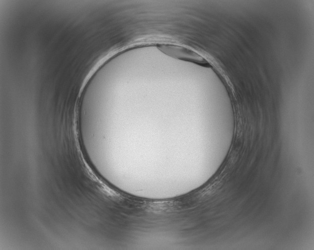 X0000054391390200508270022