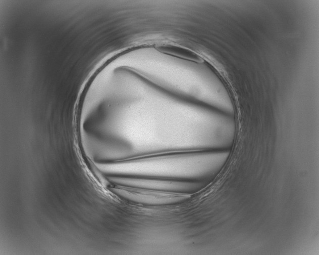 X0000054391392200508270022
