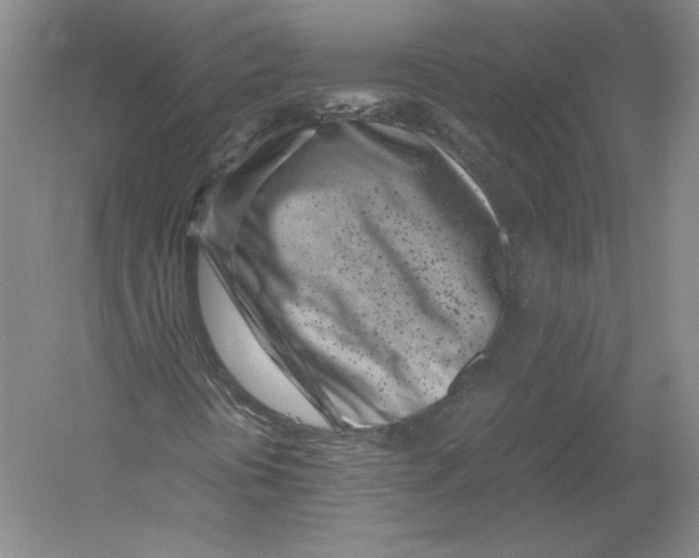 X0000054391394200508270021