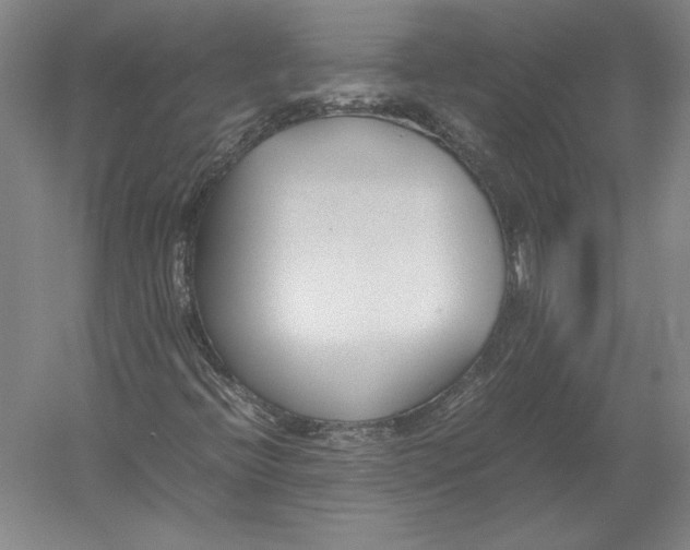 X0000054391396200508270021