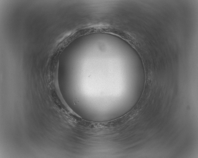 X0000054391398200508270021