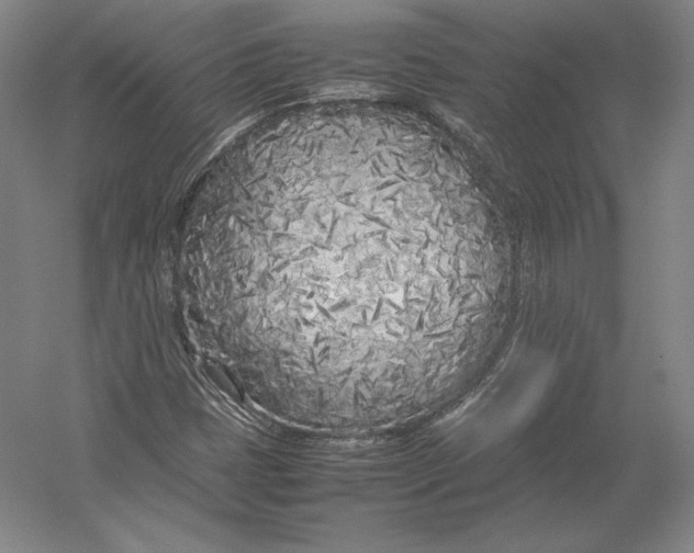 X0000054391401200508270021