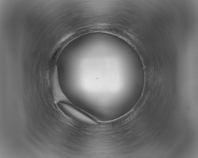 X0000054391402200508270021