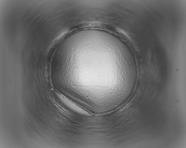 X0000054391403200508270021