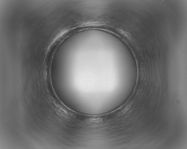 X0000054391406200508270022