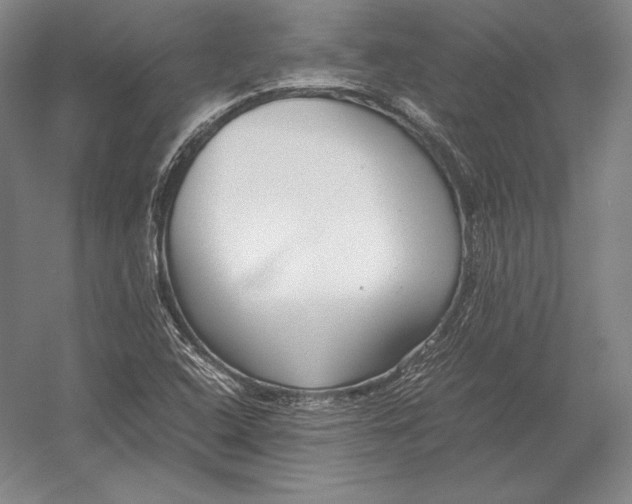 X0000054391408200508270022