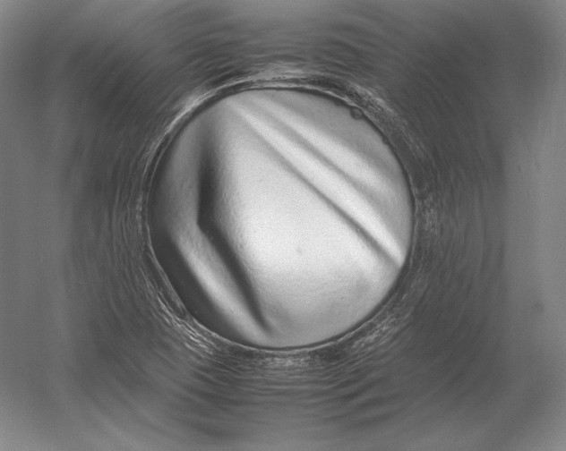 X0000054391409200508270022