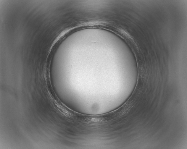 X0000054391412200508270022