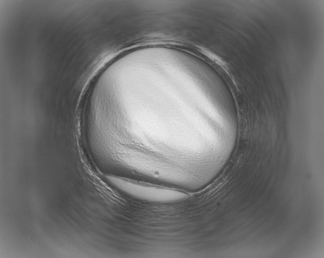 X0000054391415200508270022