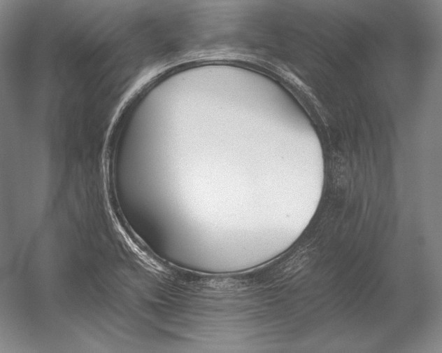 X0000054391416200508270022