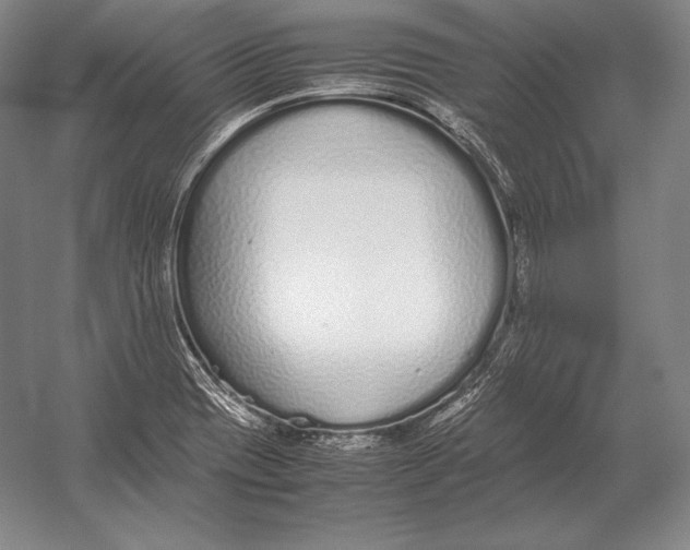 X0000054391417200508270022