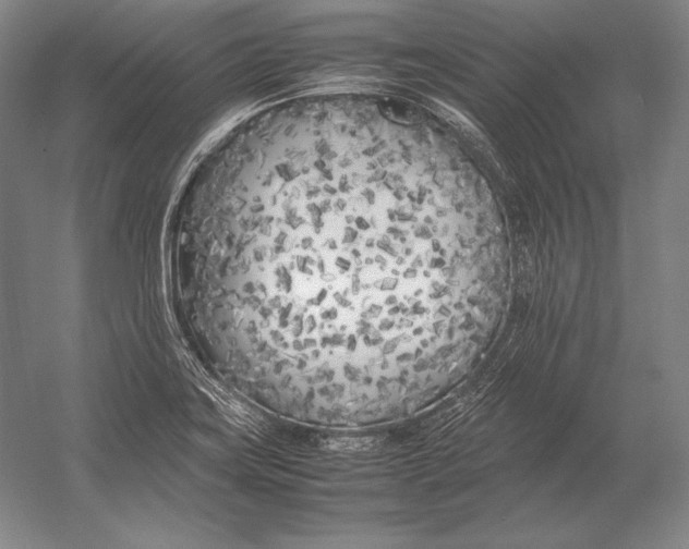 X0000054391419200508270022