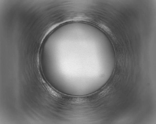 X0000054391420200508270022