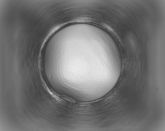 X0000054391421200508270022