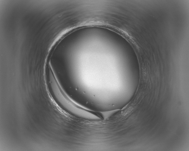 X0000054391422200508270022