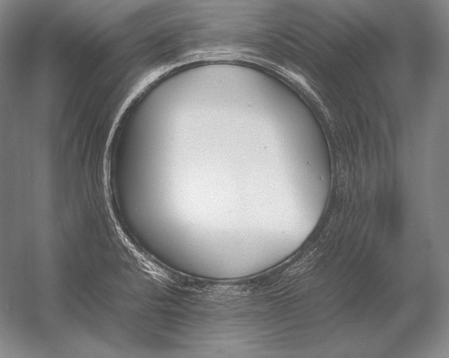 X0000054391424200508270022