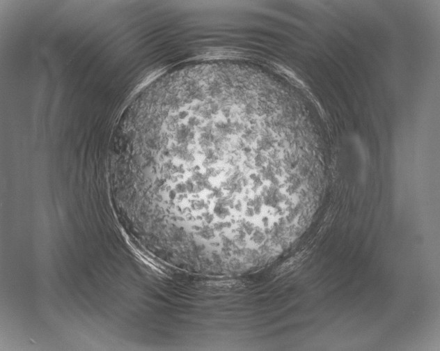 X0000054391425200508270022