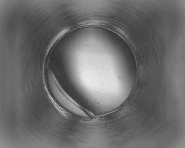 X0000054391426200508270022