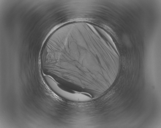 X0000054391428200508270022