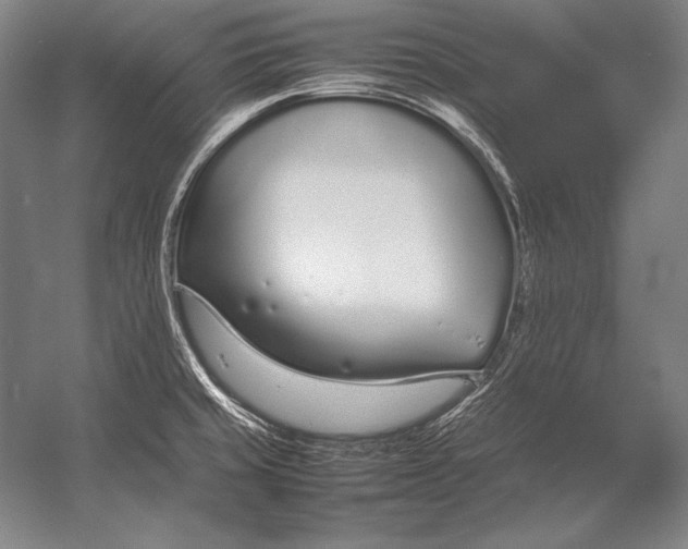 X0000054391429200508270022