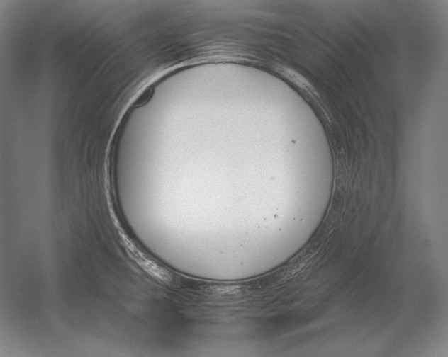 X0000054391431200508270022