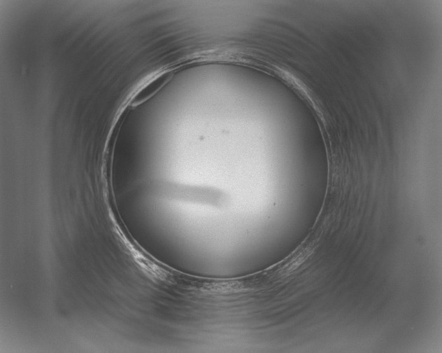 X0000054391434200508270022