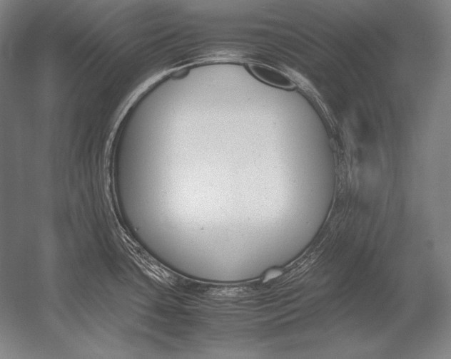 X0000054391435200508270022